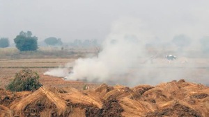 The economic life years lost is estimated to be at least $150 billion over five years according to the IFPRI study published in the International Journal of Epidemiology.(Reuters Photo) The economic life years lost is estimated to be at least $150 billion over five years according to the IFPRI study published in the International Journal of Epidemiology.(Reuters Photo)