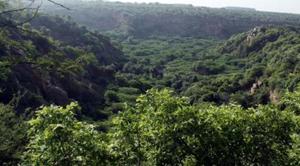 To preserve life in Haryana, re-notify Aravallis as forests (Photo by Manoj Kumar/ Hindustan Times)(HT Photo) To preserve life in Haryana, re-notify Aravallis as forests (Photo by Manoj Kumar/ Hindustan Times)(HT Photo)