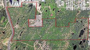 2016 image of the 52-acre plot in Faridabad submitted to the NGT.(HT Photo) 2016 image of the 52-acre plot in Faridabad submitted to the NGT.(HT Photo)