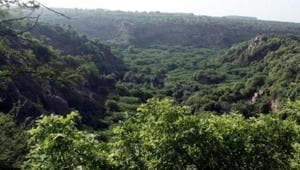 The Supreme Court on Friday warned the Haryana government against disturbing the Aravalli hills or forest area, and said the state administration would be in trouble if constructions were allowed there.(HT File Photo) The Supreme Court on Friday warned the Haryana government against disturbing the Aravalli hills or forest area, and said the state administration would be in trouble if constructions were allowed there.(HT File Photo)