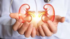 This website will answer all your queries about kidney health(iStock) This website will answer all your queries about kidney health(iStock)