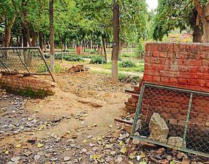 Broken boundary wall of Silver Jubilee Park.(Parveen Kumar/HT Photo) Broken boundary wall of Silver Jubilee Park.(Parveen Kumar/HT Photo)