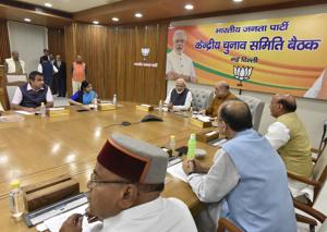 Prime Minister Narendra Modi, Bharatiya Janata Party (BJP) chief Amit Shah and other BJP leaders during the central election commitee meeting to discuss key issues about selection of candidates for the Lok Sabha elections, at BJP headquarters, in New Delhi on March 16.(Sonu Mehta/HT PHOTO) Prime Minister Narendra Modi, Bharatiya Janata Party (BJP) chief Amit Shah and other BJP leaders during the central election commitee meeting to discuss key issues about selection of candidates for the Lok Sabha elections, at BJP headquarters, in New Delhi on March 16.(Sonu Mehta/HT PHOTO)