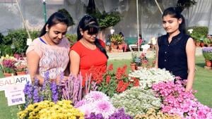 Soon, residents will be expected to inform the Lucknow Municipal Corporation (LMC) and get its permission if they intend to host an outdoor event where a gathering of 100 or more people is likely.(HT Photo) Soon, residents will be expected to inform the Lucknow Municipal Corporation (LMC) and get its permission if they intend to host an outdoor event where a gathering of 100 or more people is likely.(HT Photo)
