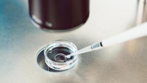 The DRI suspects that international couriers may have been delivering embryos to clinics in India.(Getty Images/iStockphoto) The DRI suspects that international couriers may have been delivering embryos to clinics in India.(Getty Images/iStockphoto)
