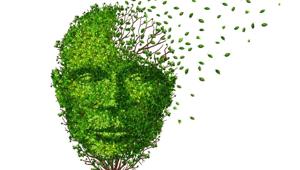 CTE can affect people who play contact sports such as boxing, rugby, soccer and football, but can currently be diagnosed only after death, since brain tissues have to be removed and analysed to confirm presence of the disease.(Shutterstock) CTE can affect people who play contact sports such as boxing, rugby, soccer and football, but can currently be diagnosed only after death, since brain tissues have to be removed and analysed to confirm presence of the disease.(Shutterstock)
