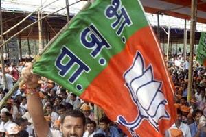 A BJP supporter waves a party flag. Image for representation.(PTI file photo) A BJP supporter waves a party flag. Image for representation.(PTI file photo)