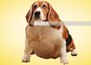 Being obese also mean you would be often ridiculed by absolute strangers(Photo imaging: Parth Garg) Being obese also mean you would be often ridiculed by absolute strangers(Photo imaging: Parth Garg)