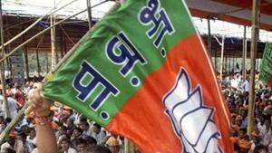 A BJP supporter waves a party flag at a raly.(PTI File Photo) A BJP supporter waves a party flag at a raly.(PTI File Photo)
