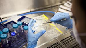 New clinical trial rules to fast-track access to drugs(Getty Images/iStockphoto) New clinical trial rules to fast-track access to drugs(Getty Images/iStockphoto)