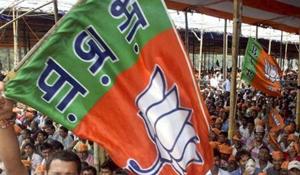 A BJP supporter waves a party flag at NDA's Parivartan Rally in Bhagalpur.(PTI file photo) A BJP supporter waves a party flag at NDA's Parivartan Rally in Bhagalpur.(PTI file photo)