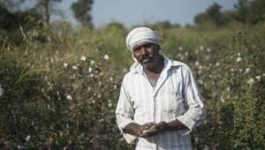 (Aniruddha Chowdhury/ Mint) (Aniruddha Chowdhury/ Mint)