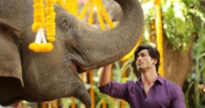 Vidyut Jamwal’s Junglee is an action film about a man and his love for animals. Vidyut Jamwal’s Junglee is an action film about a man and his love for animals.