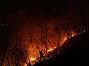 More than 95% forest fires in the state are man-made for agricultural and land acquisition purposes, forest officials said(HT Photo) More than 95% forest fires in the state are man-made for agricultural and land acquisition purposes, forest officials said(HT Photo)