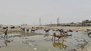 Ghonda Gujran, where the processing plant is coming up, is in the ‘O Zone’ or the Yamuna riverfront.(HT File Photo) Ghonda Gujran, where the processing plant is coming up, is in the ‘O Zone’ or the Yamuna riverfront.(HT File Photo)
