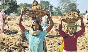 There is a case for studying how employment guarantee programmes such as the MGNREGA can be strengthened by ensuring livelihoods to those who are in the greatest need and focusing on creation of durable assets that are of value to the poor(HT Photo) There is a case for studying how employment guarantee programmes such as the MGNREGA can be strengthened by ensuring livelihoods to those who are in the greatest need and focusing on creation of durable assets that are of value to the poor(HT Photo)