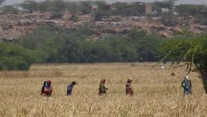 Beyond Sohna Road, the cityscape turns into swathes of open fields, signalling the start of Nuh.(Yogendra Kumar/HT PHOTO) Beyond Sohna Road, the cityscape turns into swathes of open fields, signalling the start of Nuh.(Yogendra Kumar/HT PHOTO)