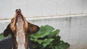 Although there is currently no cure for cancer, early detection offers the best hope of survival.(Unsplash) Although there is currently no cure for cancer, early detection offers the best hope of survival.(Unsplash)
