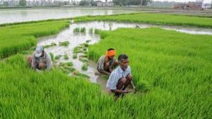 In the last few years, gross NPAs of banks as a percentage of total loans have increased from nearly 2 per cent of total loans in 2008 to nearly 10 per cent in 2017.(PTI FILE PHOTO) In the last few years, gross NPAs of banks as a percentage of total loans have increased from nearly 2 per cent of total loans in 2008 to nearly 10 per cent in 2017.(PTI FILE PHOTO)