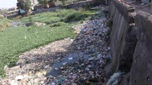 Supreme Court pulls up Maharashtra for poor efforts to clean Ulhas river(HT Photo) Supreme Court pulls up Maharashtra for poor efforts to clean Ulhas river(HT Photo)