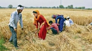 Divided by jobs, united in(HT Photo) Divided by jobs, united in(HT Photo)