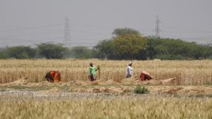 A view of Nuh district, near Gurugram. The Gurugarm district still retains almost 44 per cent of its rural area.(Yogendra Kumar/HT PHOTO) A view of Nuh district, near Gurugram. The Gurugarm district still retains almost 44 per cent of its rural area.(Yogendra Kumar/HT PHOTO)