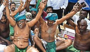 In a region that has prided itself as the granary of Tamil lands for at least 2,000 years, agriculture remains central to the economy. But farmers claim their condition hasn’t been worse in living memory.(HT Photo) In a region that has prided itself as the granary of Tamil lands for at least 2,000 years, agriculture remains central to the economy. But farmers claim their condition hasn’t been worse in living memory.(HT Photo)