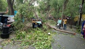 An autorickshaw crushed under a tree uprooted by recent rain and storm, in Udaipur, Rajasthan on April 17, 2019.(HT Photo) An autorickshaw crushed under a tree uprooted by recent rain and storm, in Udaipur, Rajasthan on April 17, 2019.(HT Photo)