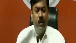 GVL Rao and other BJP leaders were addressing the media on the decision to name Sadhvi Pragya Singh Thakur as the party candidate from Bhopal when the man threw the shoe, according to TV channels.(ANI) GVL Rao and other BJP leaders were addressing the media on the decision to name Sadhvi Pragya Singh Thakur as the party candidate from Bhopal when the man threw the shoe, according to TV channels.(ANI)