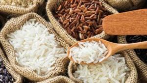 Rice isn’t nice for diabetics, but four low glycaemic index (GI) varieties developed by the Indian Council of Agricultural Research (ICAR) could make the cereal not just less damaging but also help achieve better diabetes control, scientists have said.(Getty Images/iStockphoto) Rice isn’t nice for diabetics, but four low glycaemic index (GI) varieties developed by the Indian Council of Agricultural Research (ICAR) could make the cereal not just less damaging but also help achieve better diabetes control, scientists have said.(Getty Images/iStockphoto)