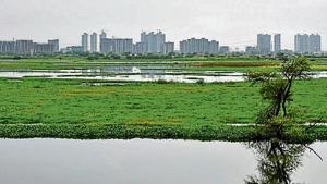 Najafgarh is one of the four main drains identified as the biggest polluters of the Yamuna, with the other three being Najafgarh Supplementary, Shahdara and Barapullah drains.(HT Photo) Najafgarh is one of the four main drains identified as the biggest polluters of the Yamuna, with the other three being Najafgarh Supplementary, Shahdara and Barapullah drains.(HT Photo)