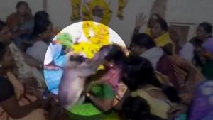 According to locals, this isn’t the first time something like this has happened and the langur has been attending people’s funerals for about a year.(Screengrab) According to locals, this isn’t the first time something like this has happened and the langur has been attending people’s funerals for about a year.(Screengrab)