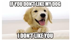 What could be more stressful than seeing neighbours in so-called educated and posh residential areas fighting like dogs over… well, dogs. What could be more stressful than seeing neighbours in so-called educated and posh residential areas fighting like dogs over… well, dogs.