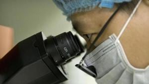 China’s top legislature will consider tougher rules on research involving human genes and embryos.(AP) China’s top legislature will consider tougher rules on research involving human genes and embryos.(AP)