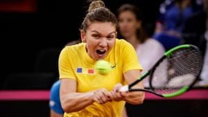 Romania's Simona Halep plays a return during the third rubber against France's Caroline Garcia.(AFP) Romania's Simona Halep plays a return during the third rubber against France's Caroline Garcia.(AFP)