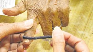 Goa will witness polling in two of its parliamentary constituencies on Tuesday in the third phase of the Lok Sabha election.(HT file photo)