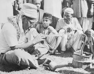 Jazz legend Dizzy Gillespie charms a snake with his trumpet during a trip to Karachi in 1956. “Pakistanis and cobra found him irresistible,” says the original caption.(Bettmann Archive) Jazz legend Dizzy Gillespie charms a snake with his trumpet during a trip to Karachi in 1956. “Pakistanis and cobra found him irresistible,” says the original caption.(Bettmann Archive)