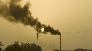 Biodiversity loss and global warming are closely linked, according to the 44-page Summary for Policy Makers, which distills a 1,800-page UN assessment of scientific literature on the state of nature.(HT Photo) Biodiversity loss and global warming are closely linked, according to the 44-page Summary for Policy Makers, which distills a 1,800-page UN assessment of scientific literature on the state of nature.(HT Photo)