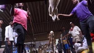 The Delhi Pollution Control Committee (DPCC) has imposed a fine of ₹50 lakh on East Delhi Municipal Corporation (EDMC) for not setting up a bio methanation plant at the Ghazipur slaughterhouse.(Anshuman Poyrekar/HT Photo) The Delhi Pollution Control Committee (DPCC) has imposed a fine of ₹50 lakh on East Delhi Municipal Corporation (EDMC) for not setting up a bio methanation plant at the Ghazipur slaughterhouse.(Anshuman Poyrekar/HT Photo)