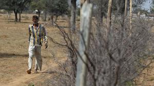 At least 50 farmers in Telangana’s Nizamabad district are planning to file their nominations against Prime Minister Narendra Modi in Uttar Pradesh’s Varanasi(Representative Image/AFP File Photo) At least 50 farmers in Telangana’s Nizamabad district are planning to file their nominations against Prime Minister Narendra Modi in Uttar Pradesh’s Varanasi(Representative Image/AFP File Photo)