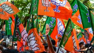 Party’s fate will likely be determined in a few large states where it is challenged by Congress or regional parties.(PTI)
