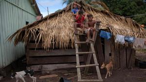A Range Forest Officer (RFO) from Wada on Wednesday allegedly whipped out his licenced revolver to threaten tribals, who had gone to meet him over the delay in issuance of wages since December 2018.(AFP) A Range Forest Officer (RFO) from Wada on Wednesday allegedly whipped out his licenced revolver to threaten tribals, who had gone to meet him over the delay in issuance of wages since December 2018.(AFP)