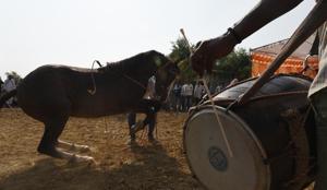 According to the rate fixed, it is Rs 5,000 for hiring an elephant, ₹2,500 for a horse and Rs 552 to get a priest.(Vipin Kumar/HT PHOTO)