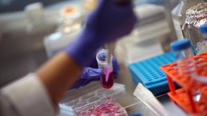 The Indian Council of Medical Research (ICMR) has called into question the ethics and protocols followed by a Santacruz-based super-speciality paediatrics hospital in its use of stem-cell therapy to treat a 26-week-old preterm baby’s lung condition.(REUTERS) The Indian Council of Medical Research (ICMR) has called into question the ethics and protocols followed by a Santacruz-based super-speciality paediatrics hospital in its use of stem-cell therapy to treat a 26-week-old preterm baby’s lung condition.(REUTERS)