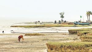 Roughly half of the Ghoramara island has disappeared over the past 30 years, with rising water levels in the local river, Muriganga, and the Bay of Bengal hastening its erosion.(Indranil Bhoumik/Mint Archive)
