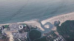 Juhu-Koliwada mangroves are at risk from VBSL project(HT Photo) Juhu-Koliwada mangroves are at risk from VBSL project(HT Photo)