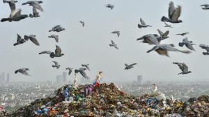 MCG officials revealed that 1,936 shopkeepers selling goods in polythene had been invoiced over the past year, raising just over Rs16 lakh in fines.(PTI) MCG officials revealed that 1,936 shopkeepers selling goods in polythene had been invoiced over the past year, raising just over Rs16 lakh in fines.(PTI)