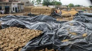 Wheat sacks are covered with tarpaulins during rains at a grain market near Patiala, Wednesday, April 24, 2019.(PTI) Wheat sacks are covered with tarpaulins during rains at a grain market near Patiala, Wednesday, April 24, 2019.(PTI)