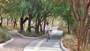 For cyclists and pedestrians travelling from Chakkarpur to Wazirabad, the cycle tracks and paths built along the bundh offer an alternative mobility route that’s safer.(Yogendra Kumar/HT PHOTO) For cyclists and pedestrians travelling from Chakkarpur to Wazirabad, the cycle tracks and paths built along the bundh offer an alternative mobility route that’s safer.(Yogendra Kumar/HT PHOTO)