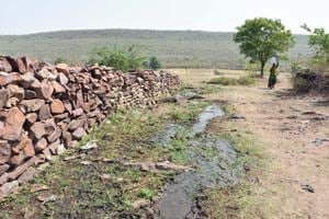A village inside Mukundra Hills Tiger reserve in Jhalawar, Rajasthan.(HT Photo) A village inside Mukundra Hills Tiger reserve in Jhalawar, Rajasthan.(HT Photo)